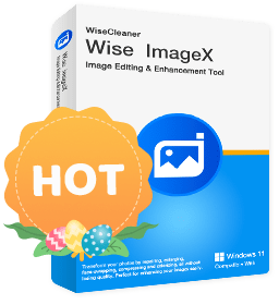 Wise ImageX