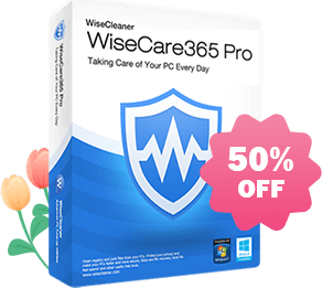 Wise care 365