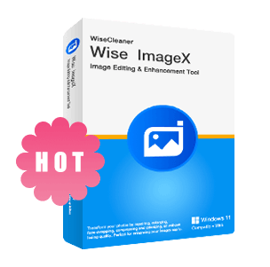 Wise ImageX