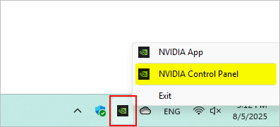 NVIDIA Shader-Cache unter Windows