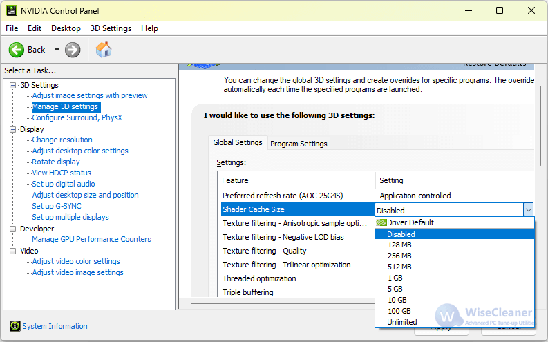 NVIDIA Shader-Cache unter Windows